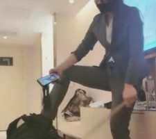 【小蚂蚁女王】职业装-白领驯化员工做人形犬-下贱狗奴 bf7082