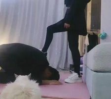 【雪儿】两只鞋底清理器 bf11350