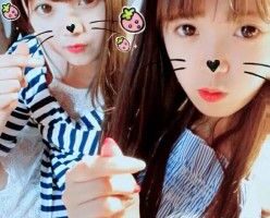 晓园双主黑丝玩弄大胖狗