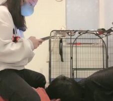 【安静大人】姐妹花共同羞辱弟弟【双视角版】 bf19663