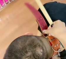 【小祖宗】暴力惩罚不听话狗奴 bf20126