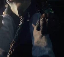 【潘妮女王】深夜户外骑马遛狗 bf23310