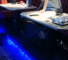 【小露情侣】KTV女仆小姐姐玩狗 bf26258