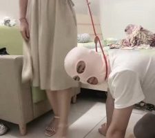 【珈瑶】骑马/牵着遛狗/重度sp/平底鞋踩踏 bf34457