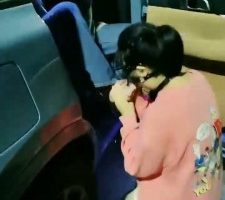 【小羊】户外车内开发闺蜜做狗 bf33455