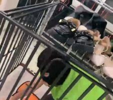 【佳奈】笼内圈养开发狗奴 bf33874