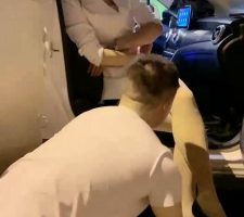 【丹祖宗】车内疯狂闻舔肉丝高跟 bf34146