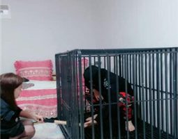 【艾琳】双S狗笼圈养重度虐打【双视角完整版】 bf34569