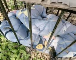 【沅芷大人】监督家奴做家务【双视角版】 JS23102563