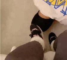 【P崽】跪舔素人小姐姐的运动鞋白袜【上】 JS240415-25