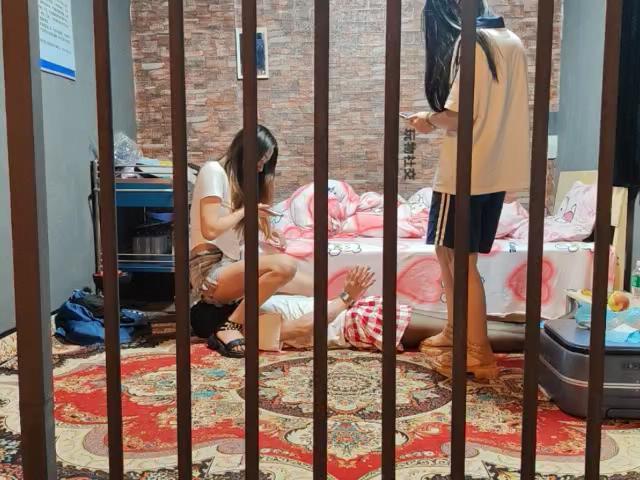 【芊芊】坐脸虐狗记【三视角】 JS240824-9