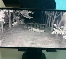 【沅芷大人】直播聊天让你看看监控里的狗 JS241027-19