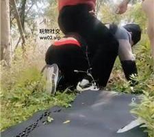 【xs】双S-户外虐打跟踪狂 JS241105-3