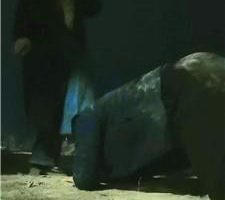 【西北傻子】深夜户外暴力踩踏踢踹 bf49910