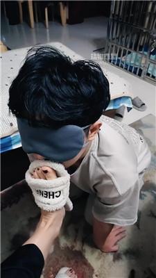 【严厉夫妻主】毛拖鞋踩家奴 JS251123-29