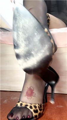 【咬猫】口哨声不用手流喷    251130-27