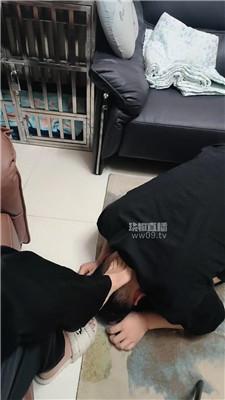 【严厉夫妻主】绿帽老公伺候 JS251211-21