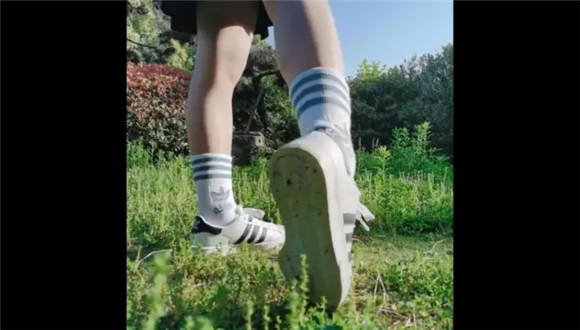 【执念S】户外训练人型犬