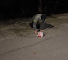 【伊莉】户外泥土混合物 bf20278