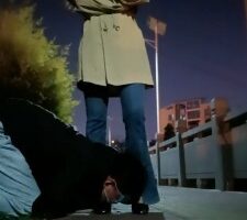 【嘉妮】户外惩罚跟踪狂-骑马遛狗舔脚【双视角完整版】 bf25741