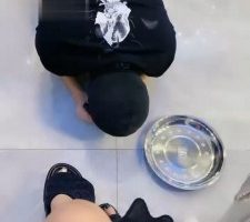 【初见】圈养家奴伺候主人吃饭/被棍棒暴躁 bf32060