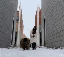 【辣姐】冰天雪地虐狗被路人偶遇-翻车 bf38042