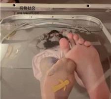 【砂糖】女巨人视角踩死你 JS250203-17