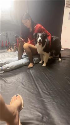 【伊晨】双S-模特主捆绑贱奴虐废 JS250330-32