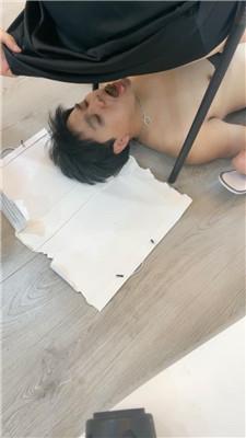 【普西】圣水大餐喂食 JS250616-2