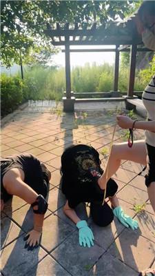 【伊晨】双S双M-户外遛狗-清理脏鞋白棉袜 bf55560