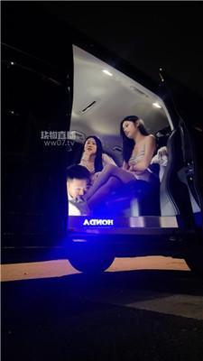 【奈何】白领S商务车外调奴【双视角版】 bf59309